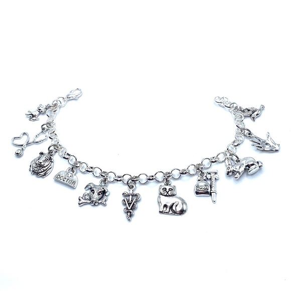 Veterinarian Charm Bracelet Animal Doctor - Picture 2 of 7